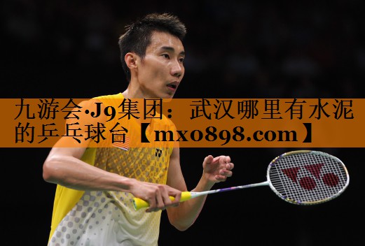 九游会·J9集团：武汉哪里有水泥的乒乓球台