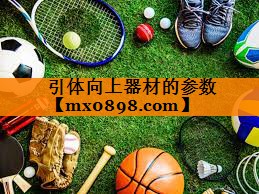 引体向上器材的参数