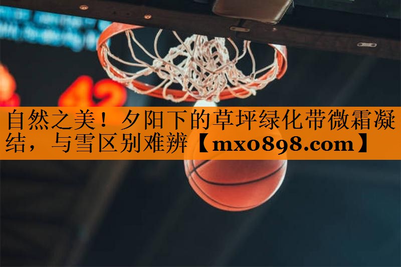 自然之美！夕阳下的草坪绿化带微霜凝结，与雪区别难辨