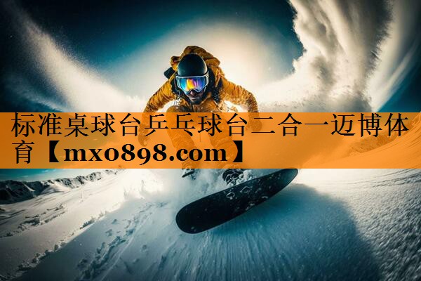 标准桌球台乒乓球台二合一迈博体育