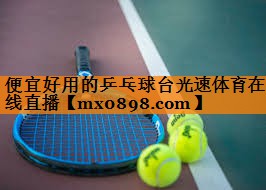 便宜好用的乒乓球台光速体育在线直播