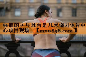 标准的乒乓球台是几米潮阳体育中心项目现场…