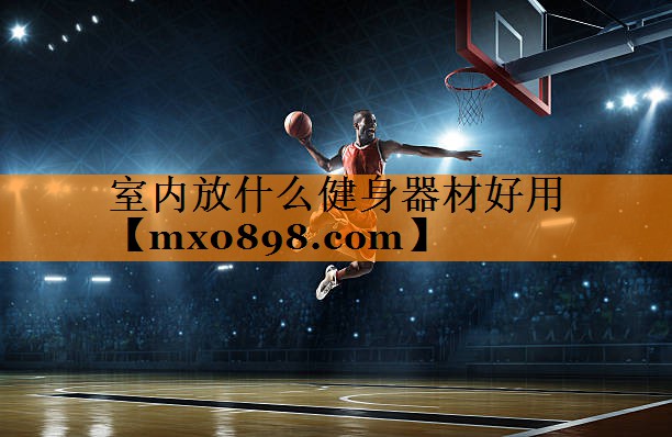 室内放什么健身器材好用