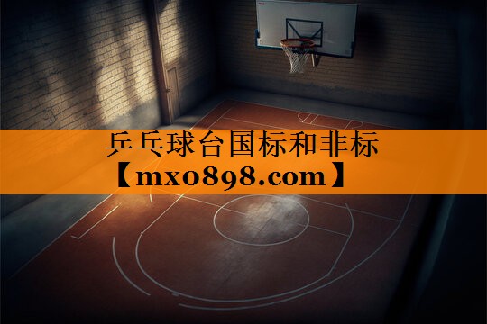 乒乓球台国标和非标