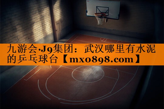 武汉哪里有水泥的乒乓球台