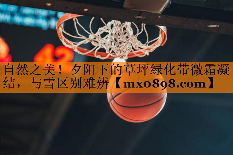 自然之美！夕阳下的草坪绿化带微霜凝结，与雪区别难辨