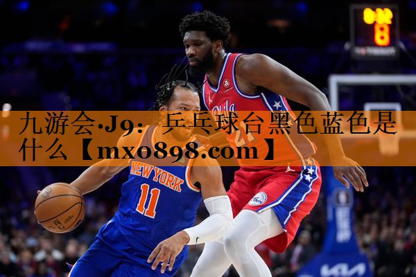 乒乓球台黑色蓝色是什么