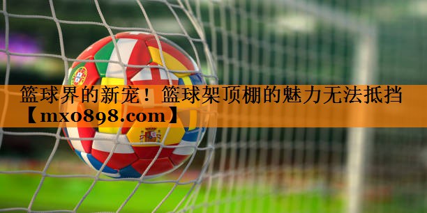 篮球界的新宠！篮球架顶棚的魅力无法抵挡