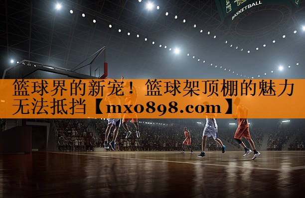 篮球界的新宠！篮球架顶棚的魅力无法抵挡